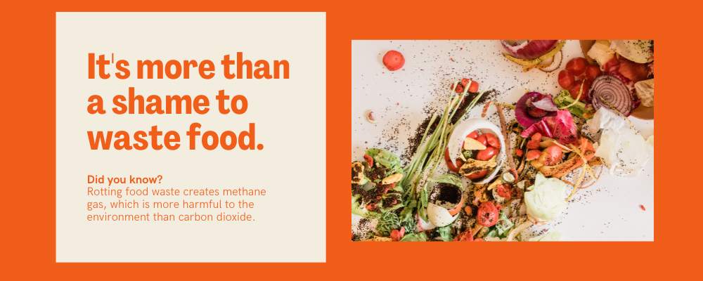 From Waste to Wow: How Chefs Can Slice Food Waste Down to Size